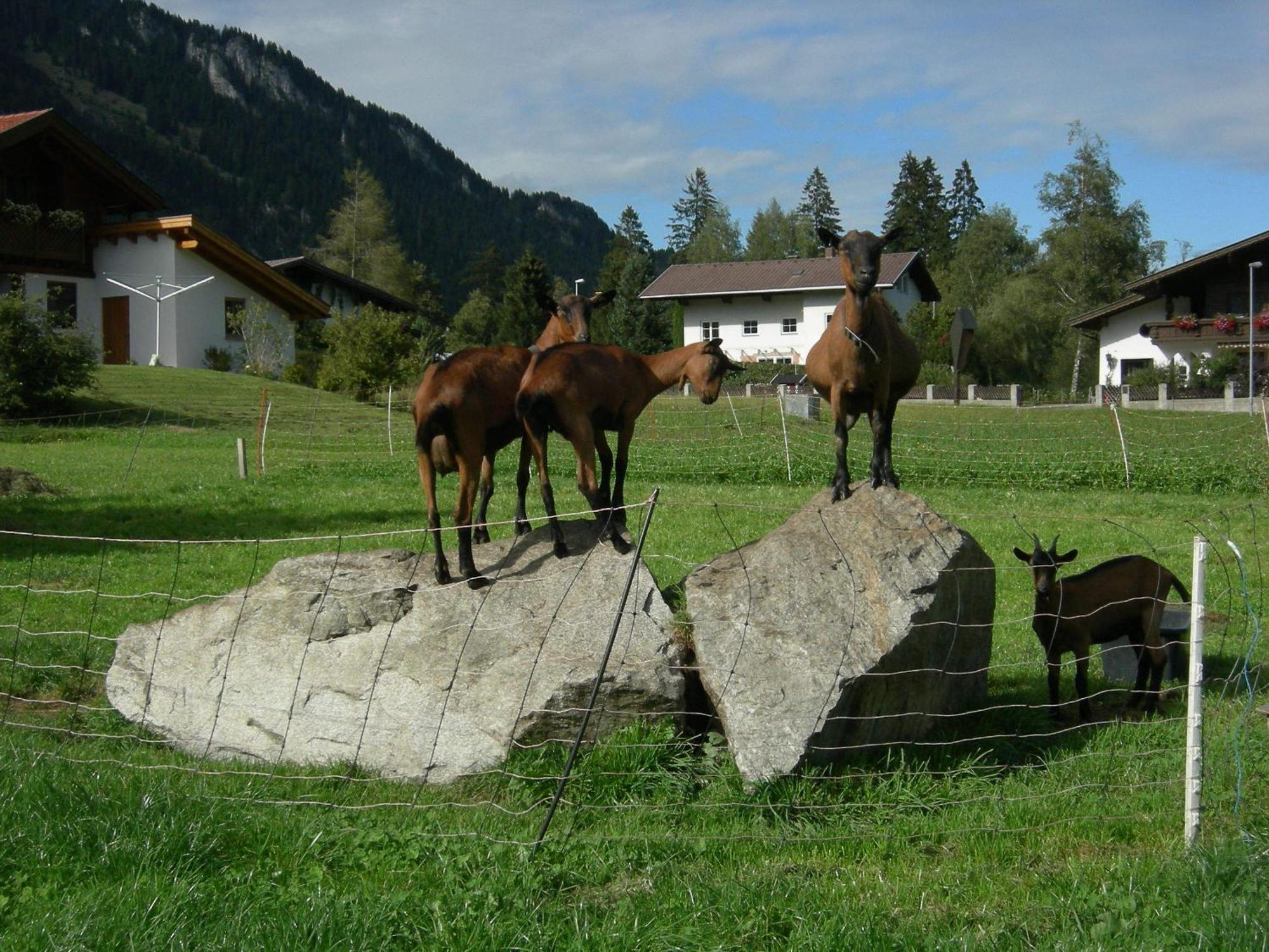 S'Hoamatl Hotel Hofen Exterior photo